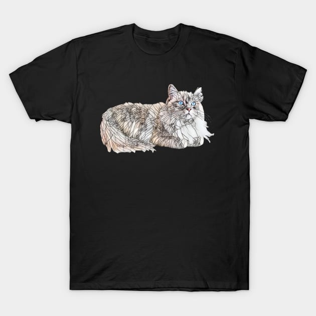 Seal Ragdoll Design - Floppy Cat Lovers Gift T-Shirt by DoggyStyles